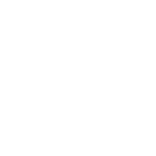 Rug Riders